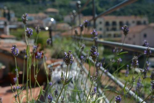 Bed & Breakfast La Casa Di Giobatta