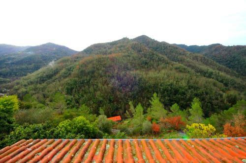 Bed & Breakfast Locanda La Favorita