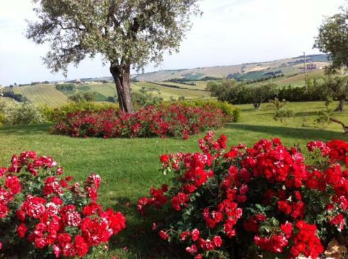 Agroturismo Agri Divin Amore