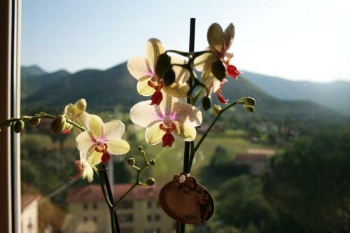 Emme House Bed&breakfast