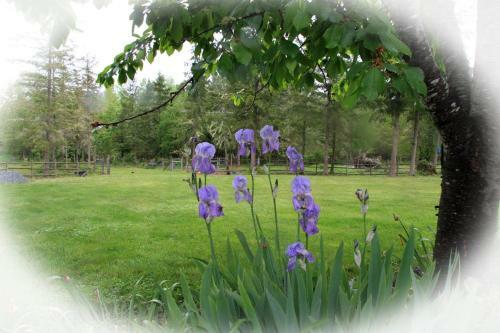 Agroturismo Nisqually Highland Ranch!