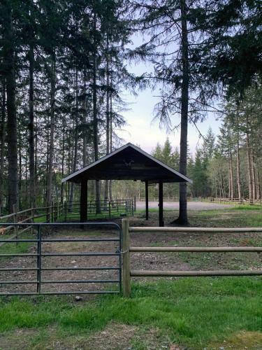 Agroturismo Nisqually Highland Ranch!