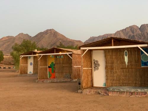 Alwaha Camp