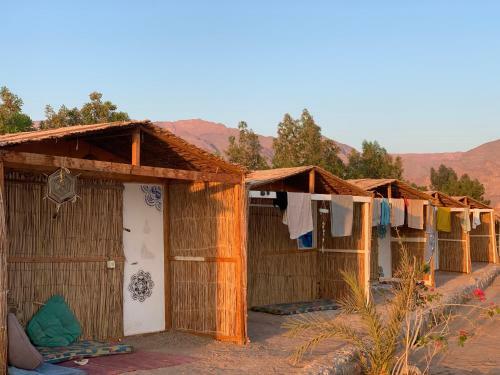 Alwaha Camp