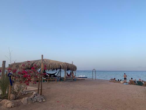 Alwaha Camp