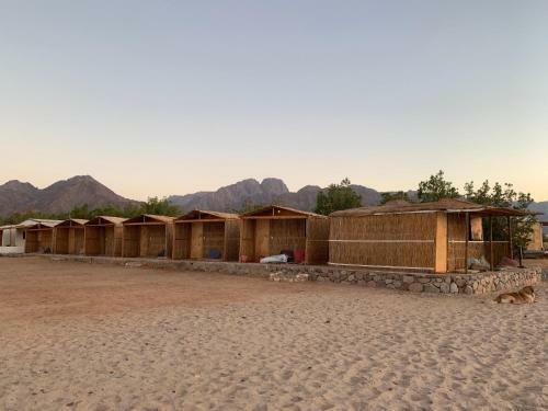 Alwaha Camp
