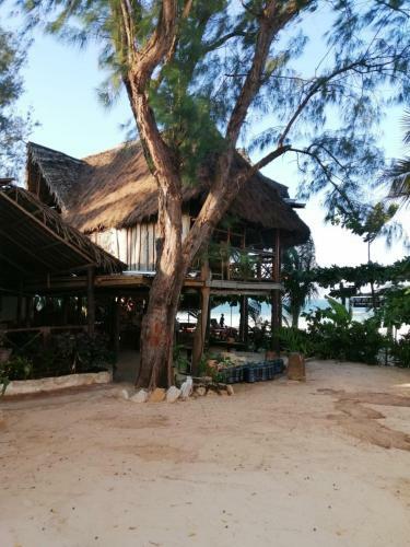 Hotel Mobydick Lodge