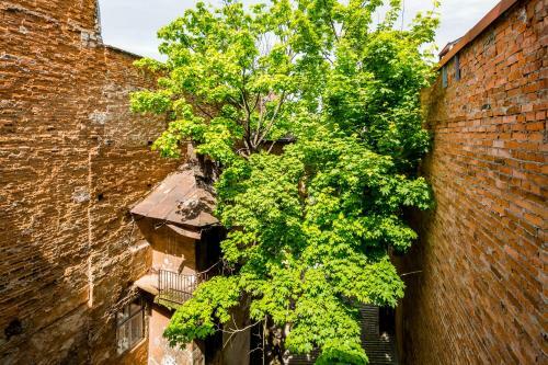 Nice Apartment Near Rynok Square