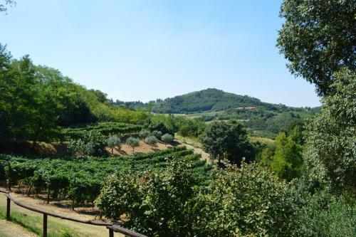 Agroturismo Colle Del Barbarossa