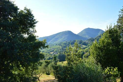 Agroturismo Colle Del Barbarossa