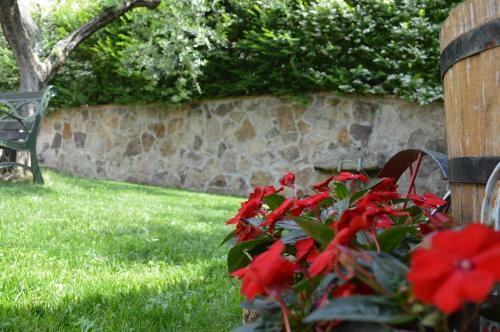 Agroturismo Colle Del Barbarossa