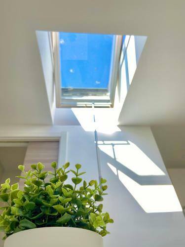 Brighthouse - Modern Apartments In S�tio Nazar�