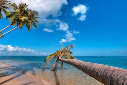 4 Bedroom Pool Villa 1 ~ 30 Seconds Walk To Beach