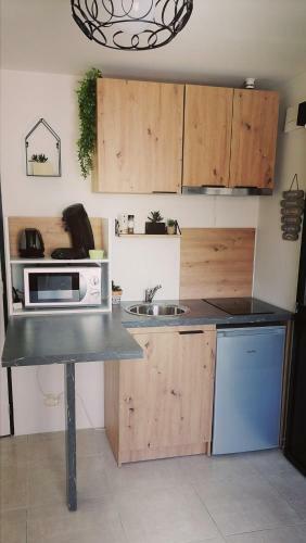 Apartamento Studio Confort Jungle