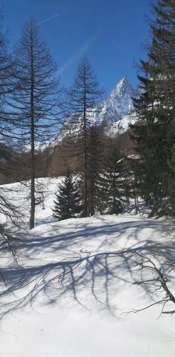 Chalet Val Ferret Courmayeur Mont Blanc Exclusive