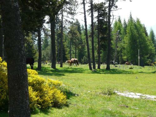 Apartamento Font Romeu Via (maison Du Soleil)