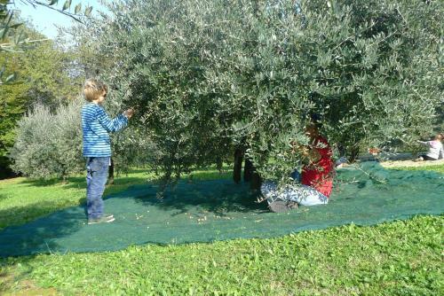 Agriturismo Terre Bianche