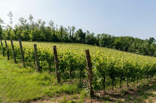 Agriturismo Terre Bianche