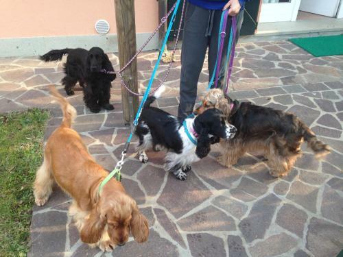 Agriturismo Terre Bianche