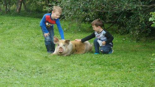Agroturismo Guesthouse Steinsholt