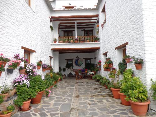Hotel Estrella De Las Nieves