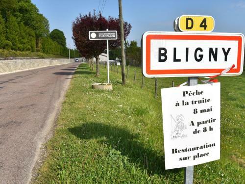 Lodge Holiday Home La Centieme Bligny