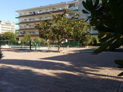Apartamento Bravaholidays-26-lotus-2