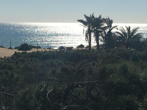 Apartamento Playa Bonita !