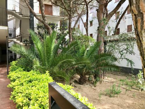Apartamento Appartement En 2eme Ligne De Mer