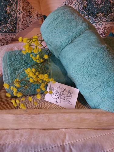 Agroturismo Romantic Casa Rural La Molinera