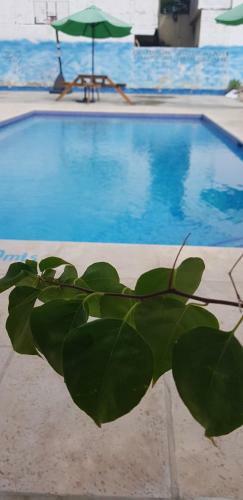 Maximos Petit Hotel