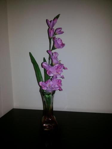 Bed & Breakfast Lofthaus Studios