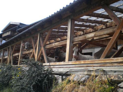 Agroturismo Weberhof