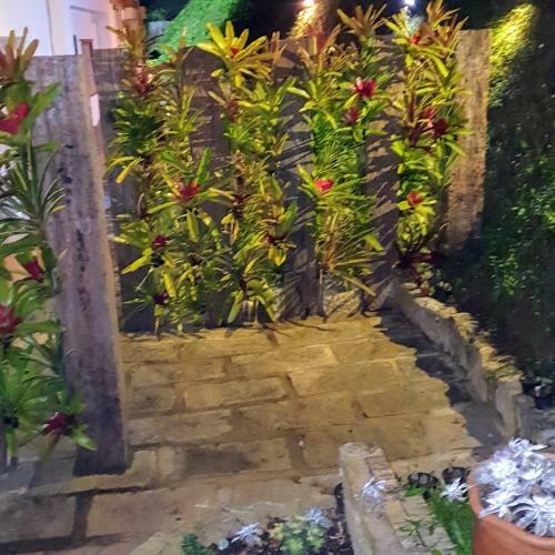 Casa Na Serra - Itaipava