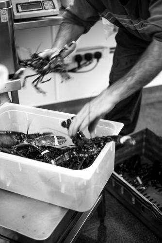 Hostal Vaughans Anchor Inn