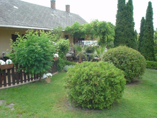 �r�kz�ld Apartmanok Balatonfenyves