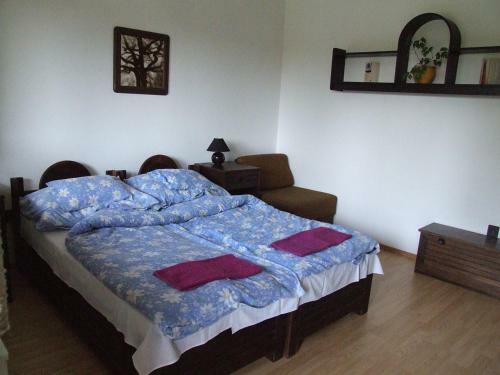 Bed & Breakfast P�ter Panzi�