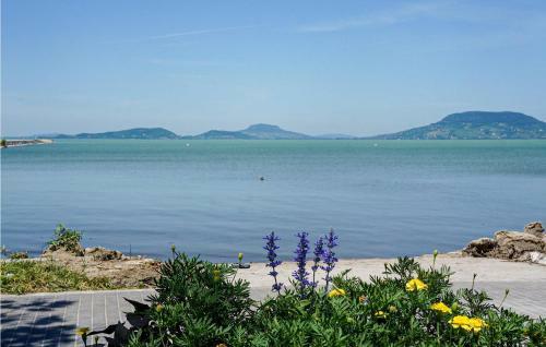 Holiday Home Balatonfenyves 40