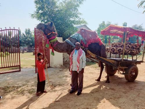 Hotel Sundervan Wildlife Resort