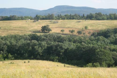 Harangvir�g 36 Fah�z