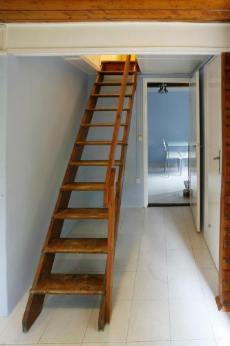 Harangvir�g 36 Fah�z