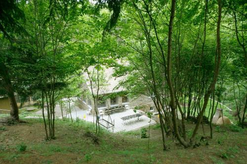 Harangvir�g 36 Fah�z