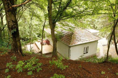 Harangvir�g 36 Vend�gh�z