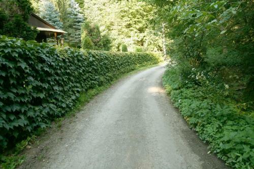 Harangvir�g 36 Vend�gh�z