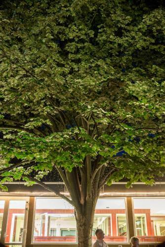 Szindb�d Wellness Hotel