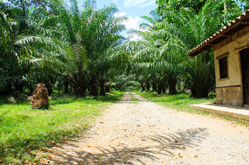 Hotel Corinto Pearl Eco Resort