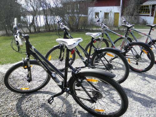 Hotel Loikansaari Lomam�kit Holiday Cottages