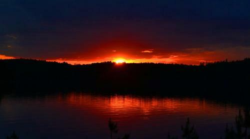 Hotel Loikansaari Lomam�kit Holiday Cottages