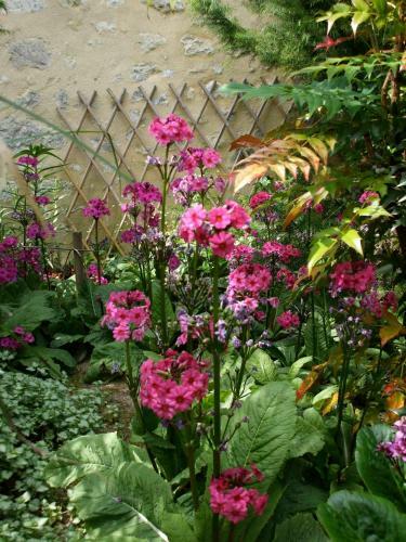 Hostal Jardin La Bourdonni�re