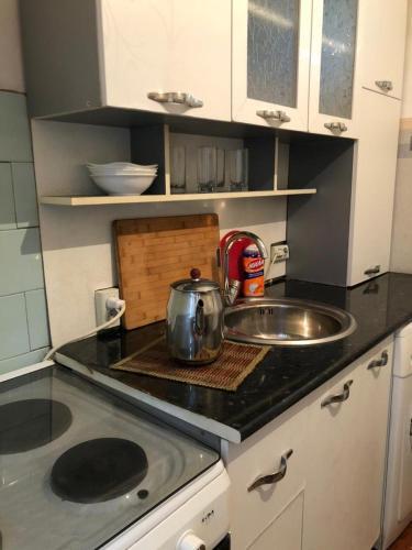 Bishkek Apartment (1)